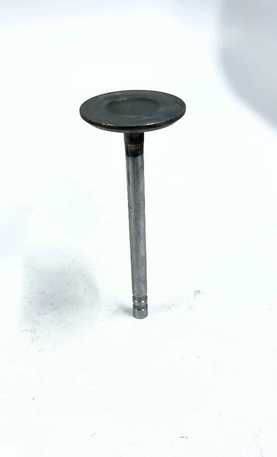 Intake Valve for GM (14025571)