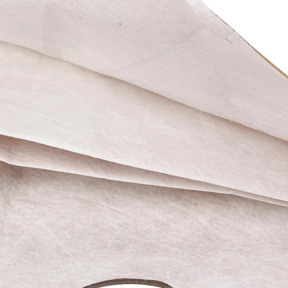 5 Pc Dust Bags BAG261 for Panasonic C-20E C20E (C-20E)