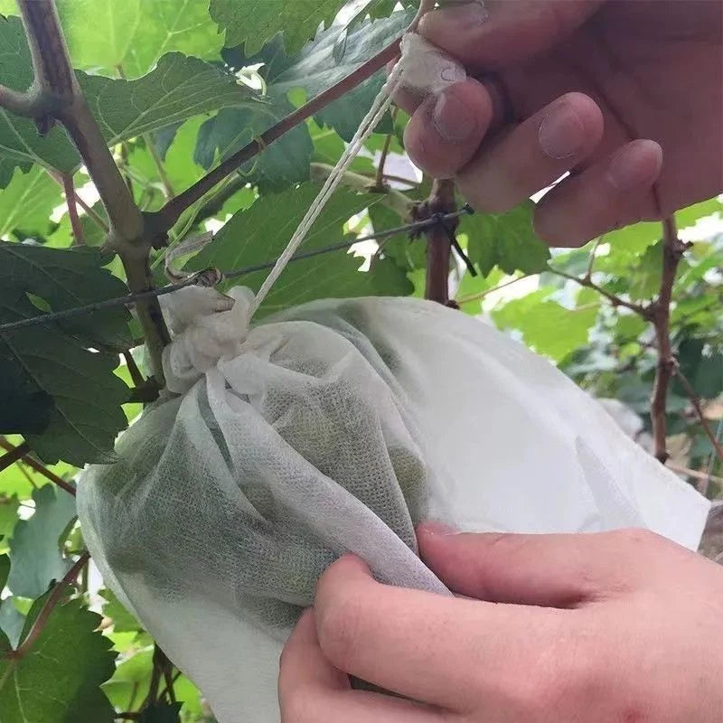100PCS Non Woven Fruit Protection Net for Grape Pear