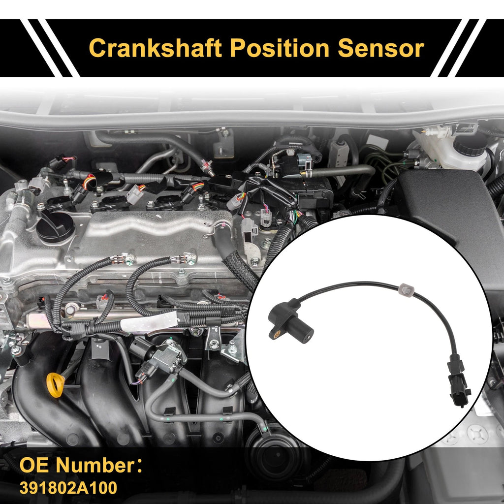Crankshaft Position Sensor Replacement for Hyundai i20 1.6 CRDi (2009–2012)