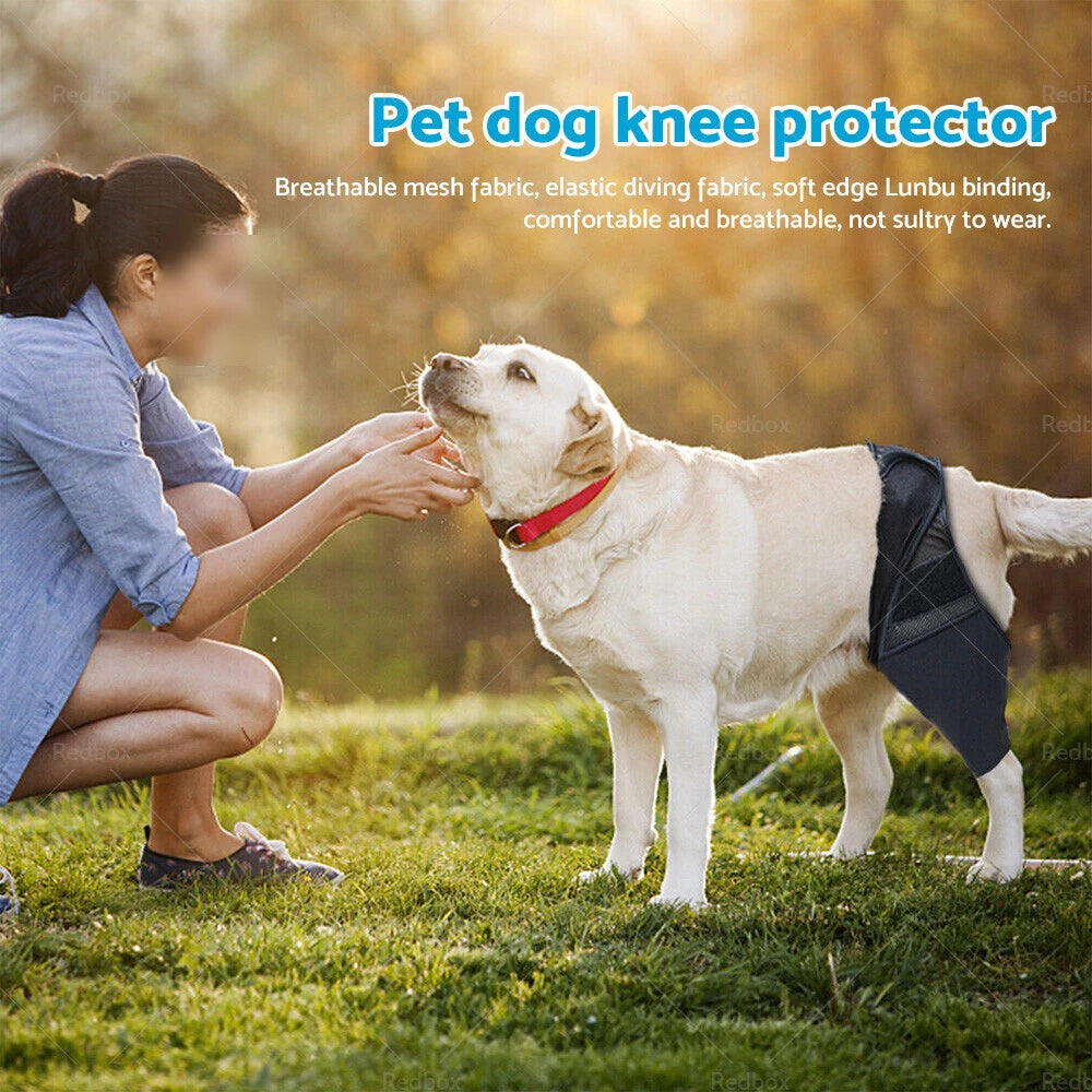 Pet Dog Knee Support Brace for Rear Leg (S/M/L/XL)