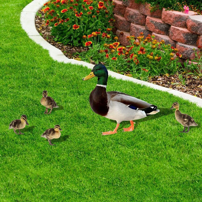 Acrylic Duck Decoration for Festive Garden
