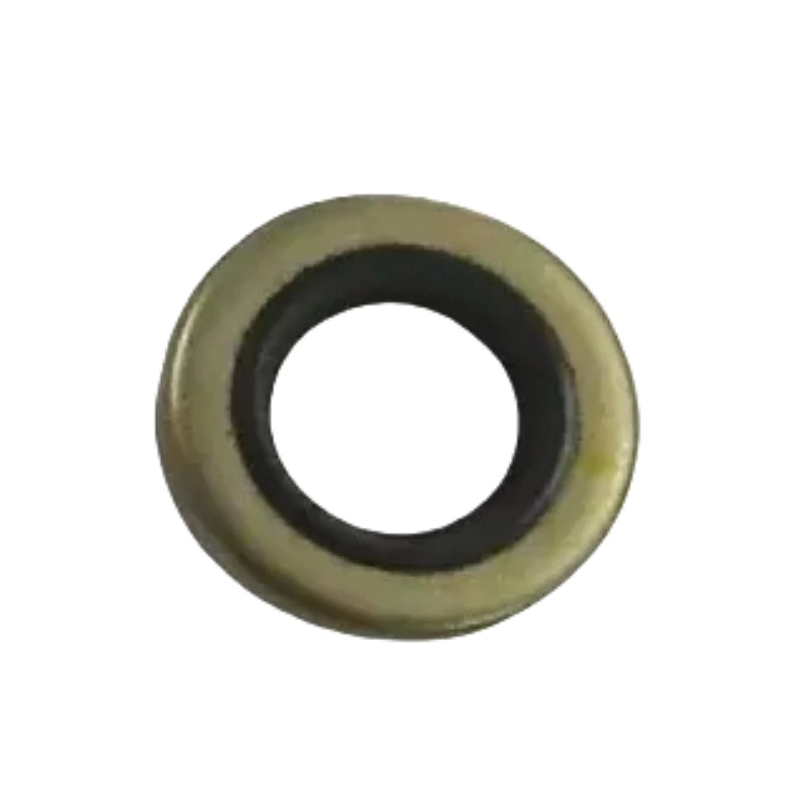 2Pcs Water Pump Oil Seal for Johnson Evinrude 9.9HP 15HP (318972, 0318972, 18-2025)