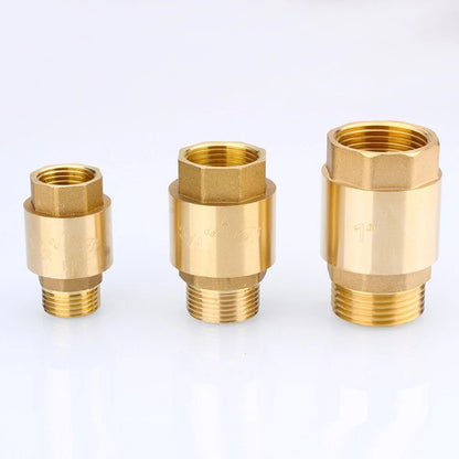 Brass Check Valve for Backflow Prevention (High Pressure Systems)