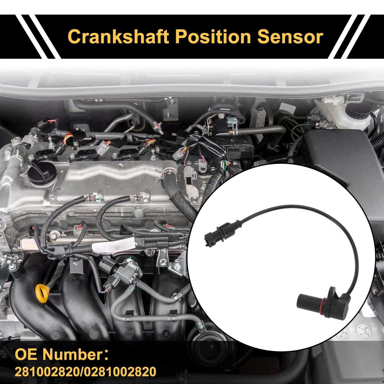 1 Pc Crankshaft Position Sensor No. 281002820 for Ford Ranger (2006–2011)