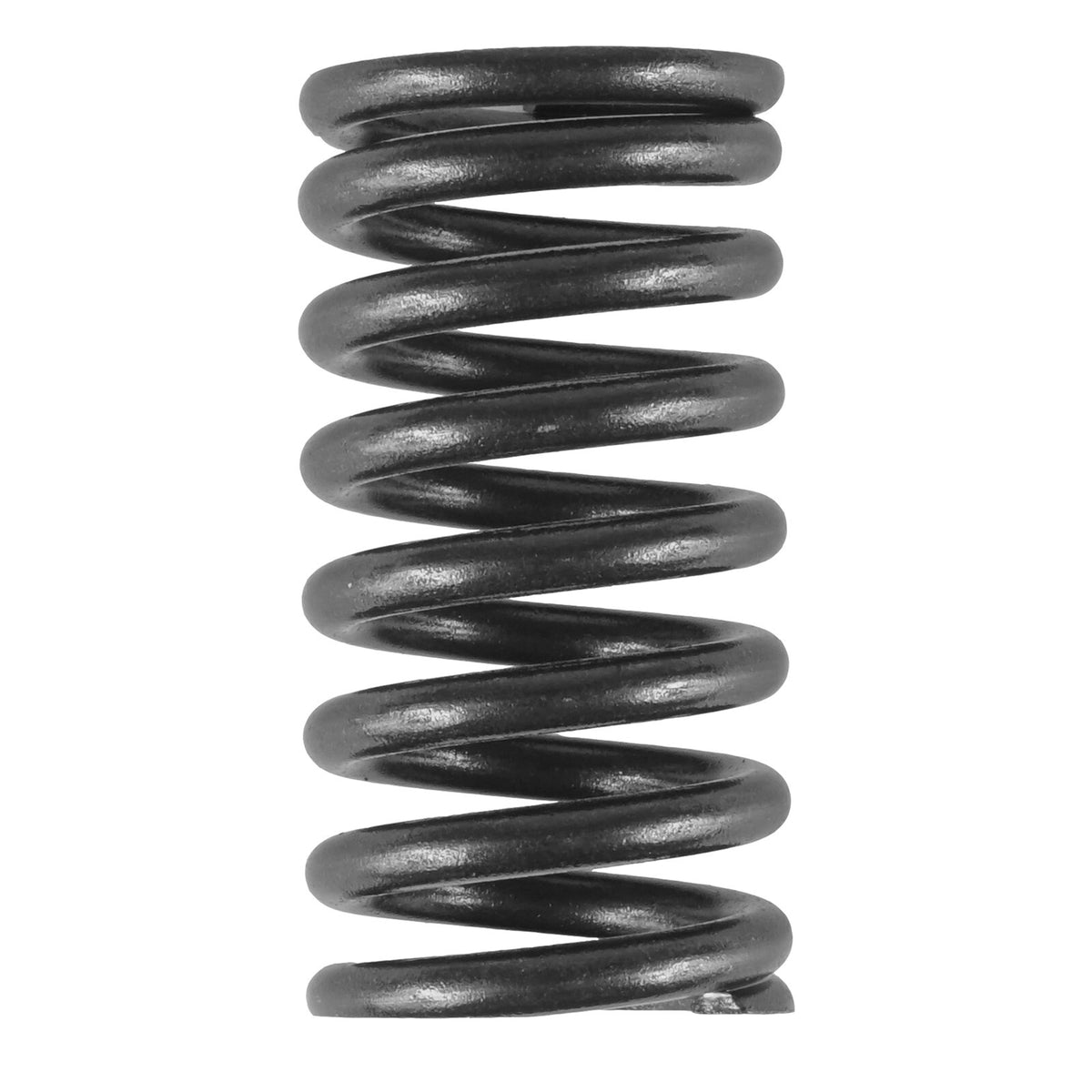 Valve Spring Replacement for Honda K20A (2002–2006)
