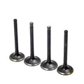 Intake & Exhaust Valve Set for EZGO Gas 4 Stroke 295cc 350cc (1996–Present)