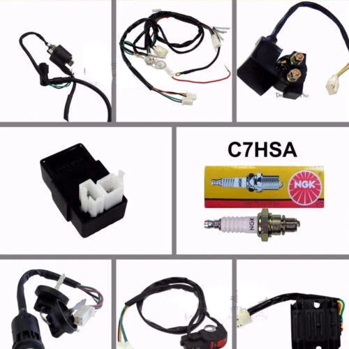 Wiring Harness Loom Engine Kit for Atomik Thumpstar Pitpro Foxico TDR