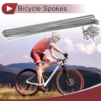 Bike Wheel Spokes 304 Stainless Steel 14G 213mm Set for Bicycle (All)