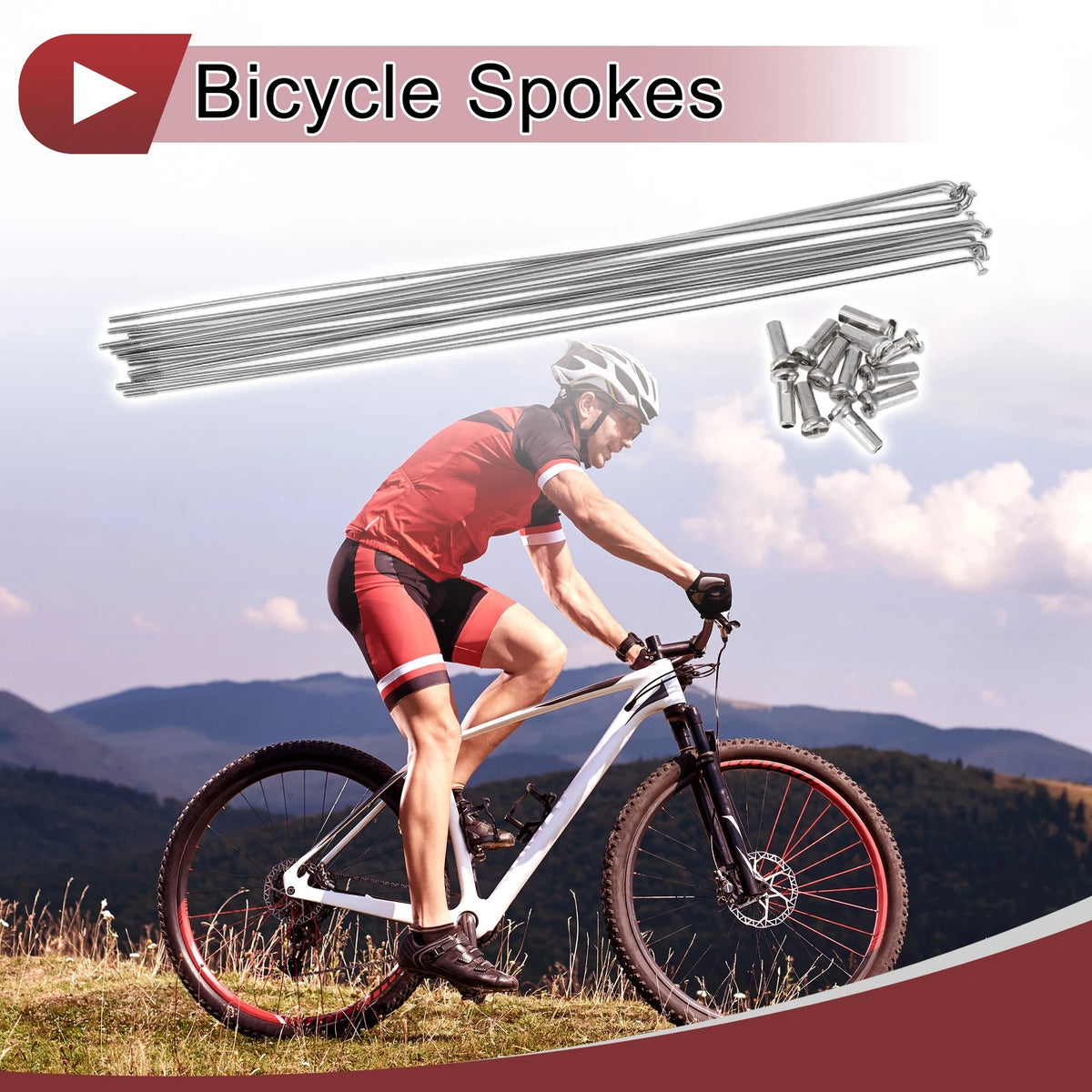 Stainless Steel Bicycle Spokes Set 283mm for 14G 12 Spoke Wheels (Fits Bike)