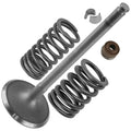 Intake Valve Kit for Honda Big Red ATC250ES SX (1985–1987)