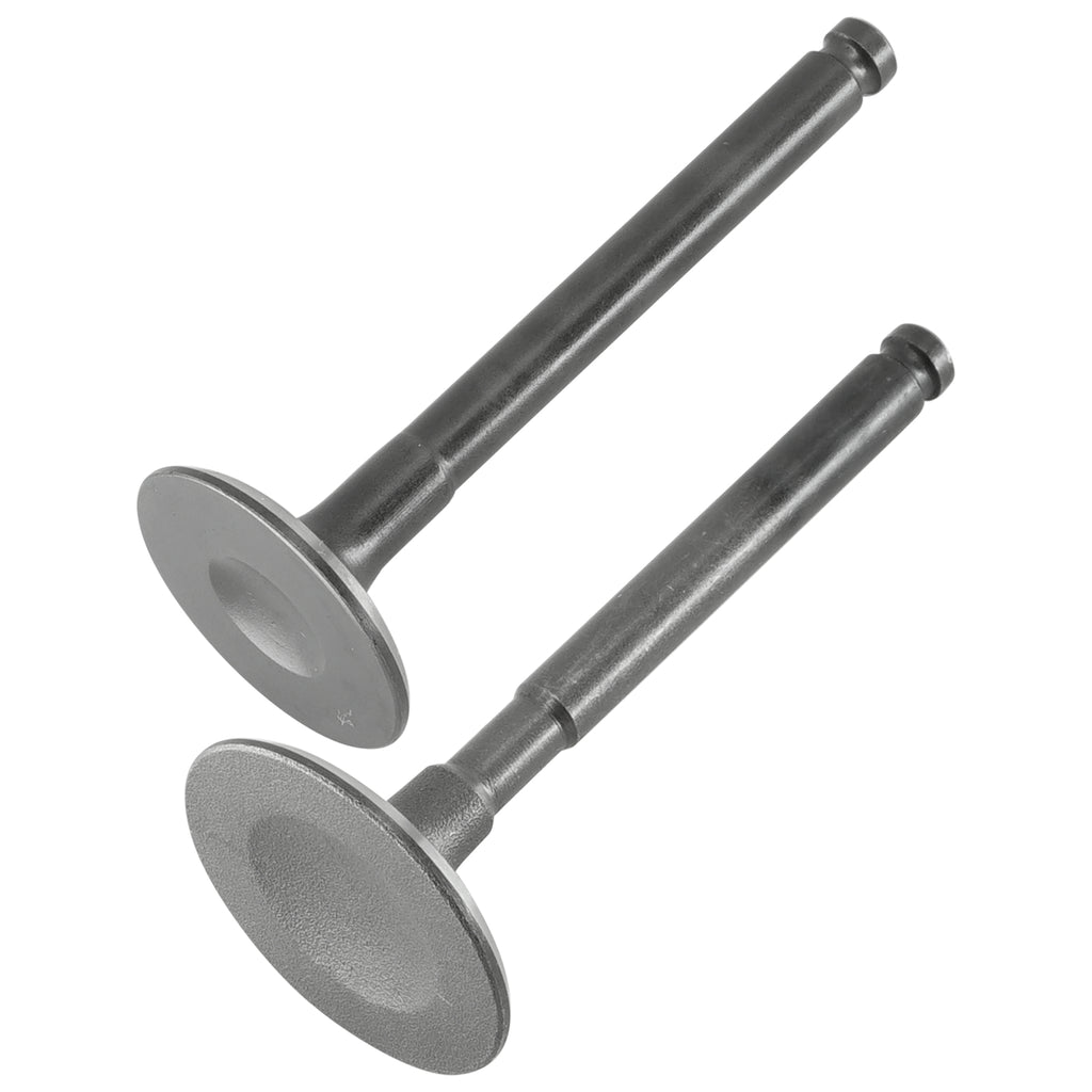 Exhaust and Intake Valve Replacement for Kawasaki Engine (2004–2006)