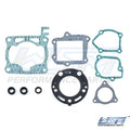Gasket Kit for WSM
