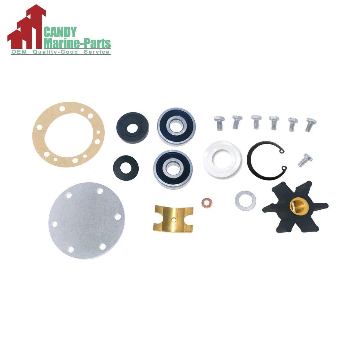 Major Rebuild Kit for Yanmar Marine Sea Water Pump (2QM15) 124070-42000 42001 42002