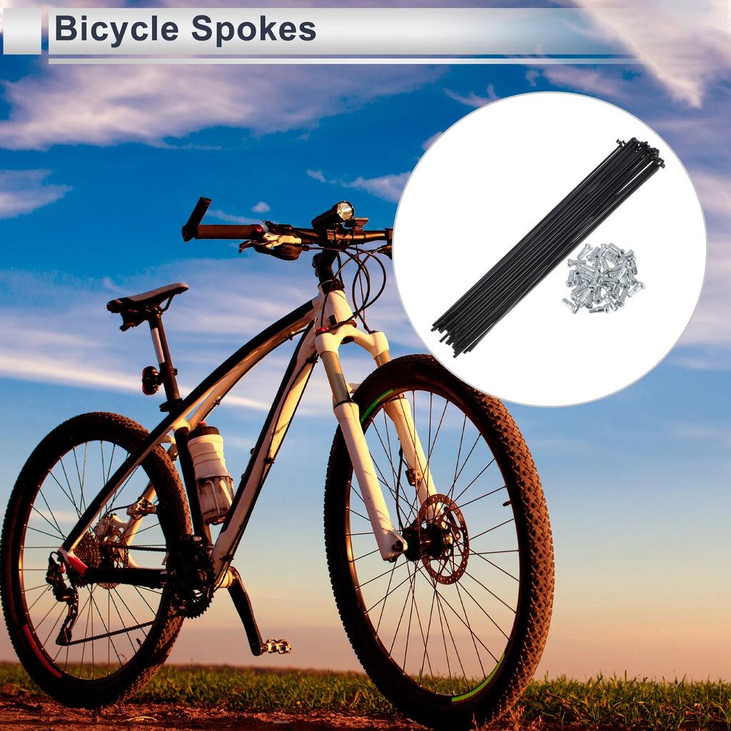 Bicycle Spokes Nipple Set 45 Steel 243mm for Universal (2000–2030)