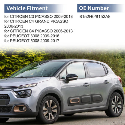 Left Passenger Side Mirror Cover Cap for Citroen C3 Picasso (2010–2017)