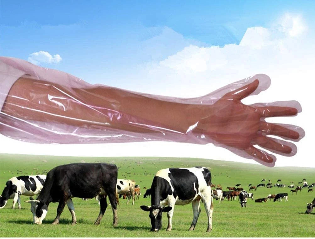 50 Pcs Disposable Long Arm Plastic Film Veterinary Gloves