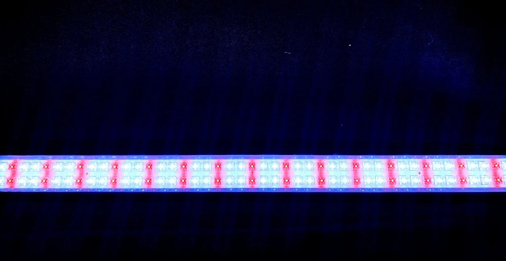22 in Tubular LED Light for