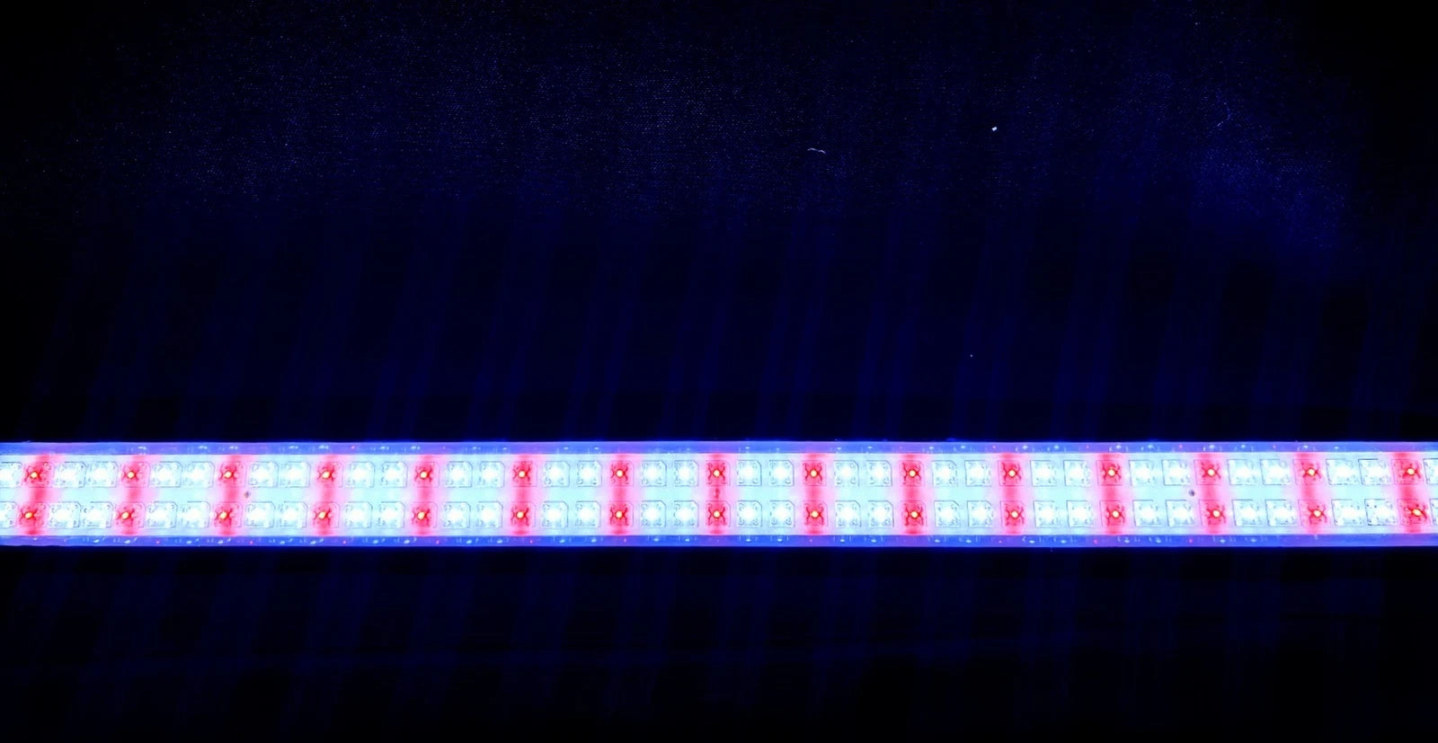 22 in Tubular LED Light for