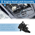 Hood Latch Assembly Replacement for Toyota Highlander (2010–2013)