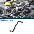 Radiator Hose Water Supply Replacement for Hyundai Azera (2006–2011)