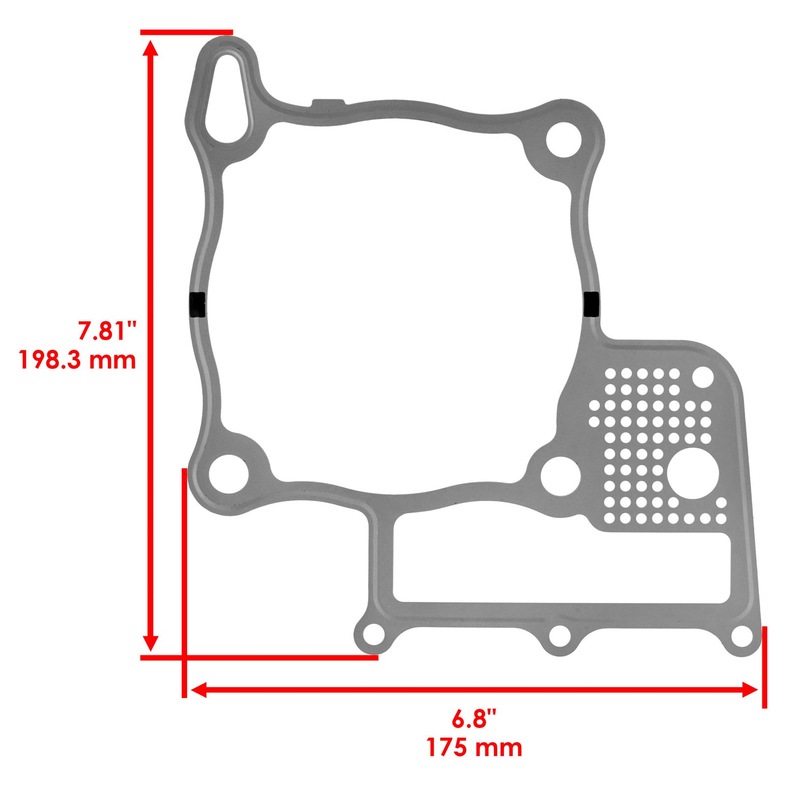 Cylinder Base Gasket OEM Replacement for Honda Rincon 680 TRX680FA (2013–2015)