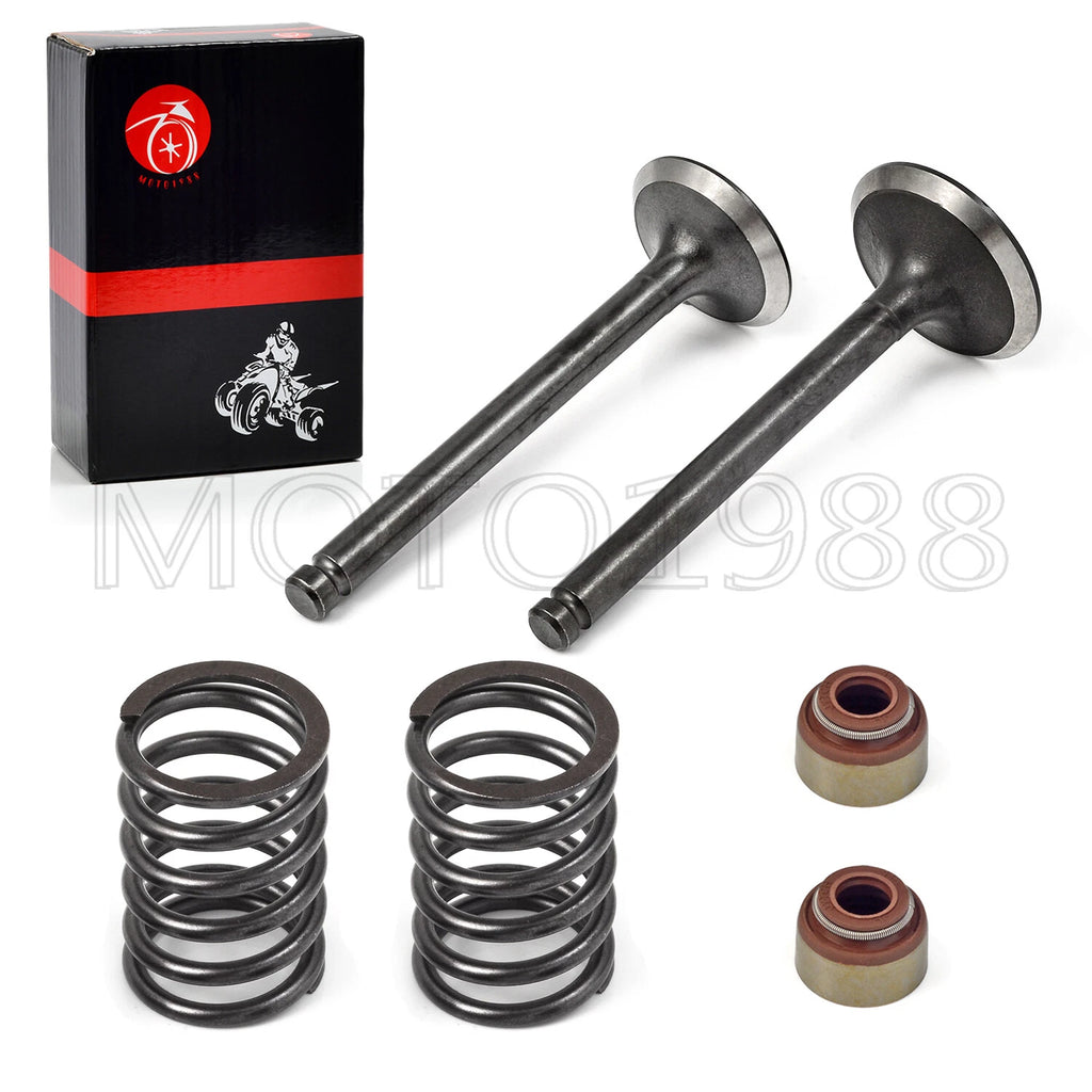 Intake Exhaust Valve Set with Seals & Springs for Club Car DS (1992–Up)