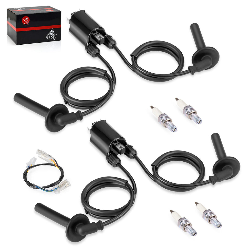 2X Ignition Coil & Spark Plug Set + Ignition Sub Harness for Honda ST1100 (1991–2003)