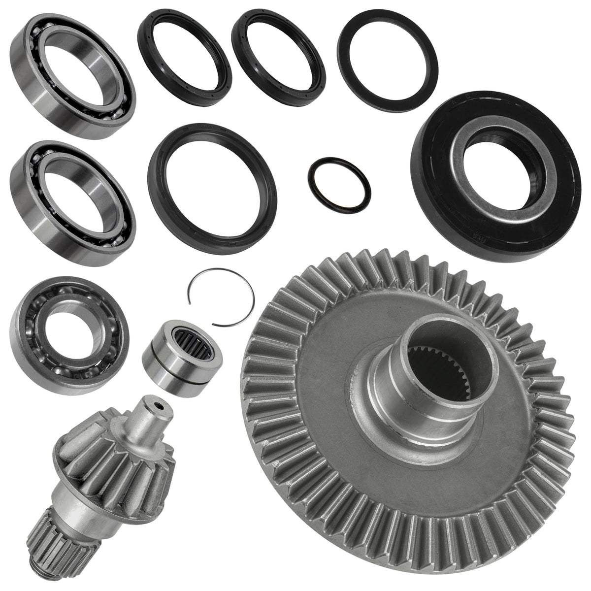 Rear Differential Rebuild Kit with Gears for Honda TRX250EX Sportrax (2001–2007)