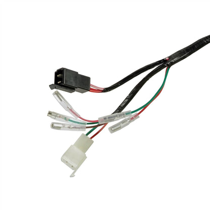 Wire Harness for Honda FourTrax 300 TRX300FW 4x4 E-Shift (1998–2000)