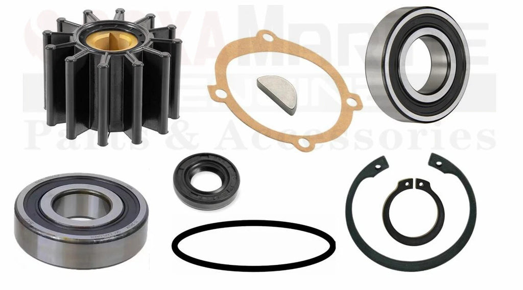 Minor Repair Kits for Sherwood Pump P101 P1012 (19300, 40064)