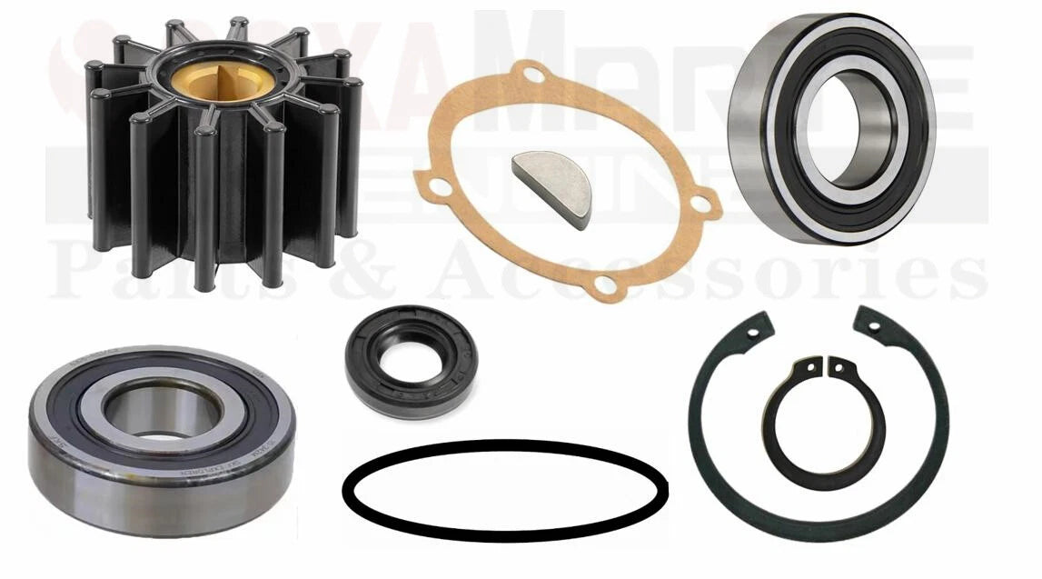 Minor Repair Kits for Sherwood Pump P101 P1012 (19300, 40064)