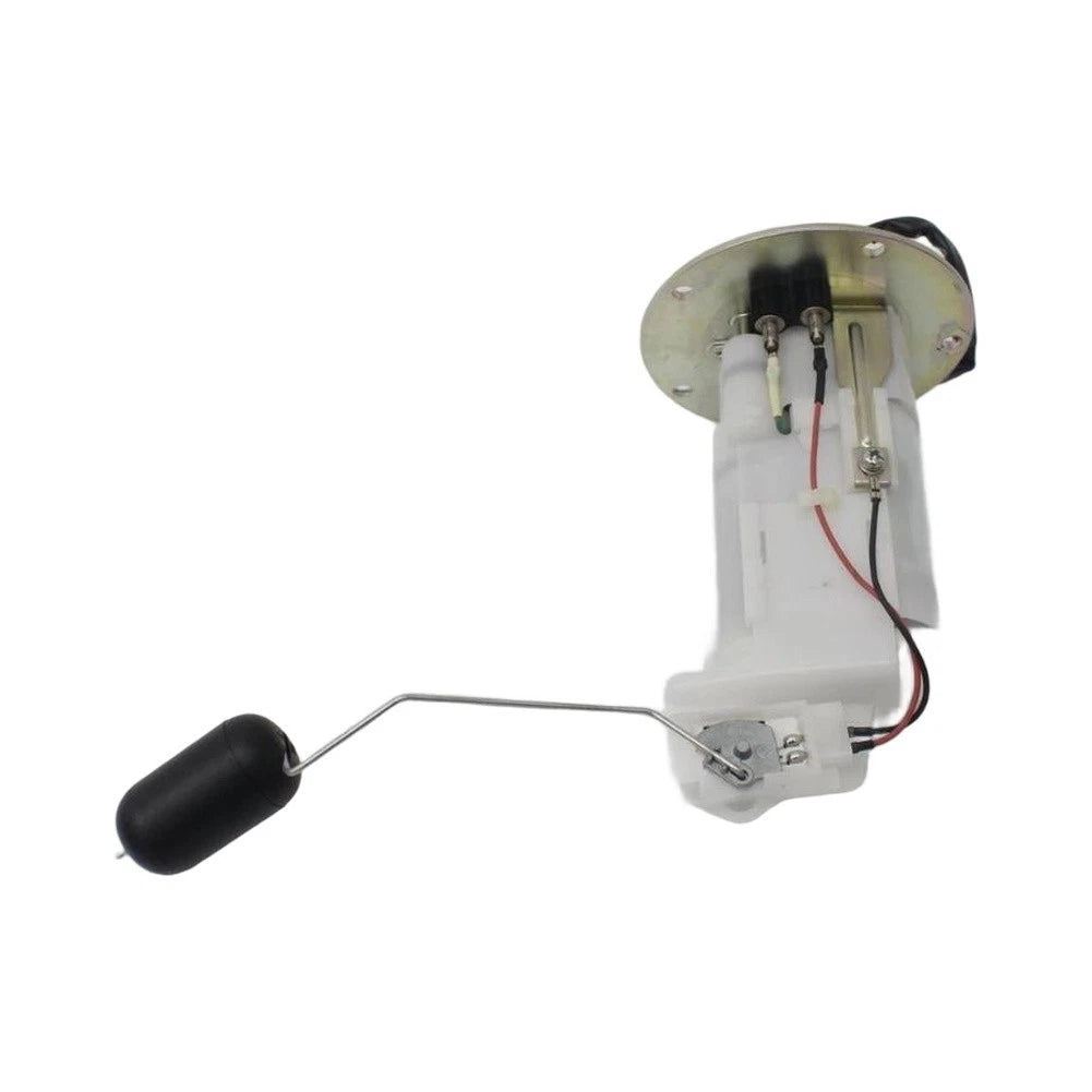 Fuel Pump Assembly for Daily Commuting (2010–2020)