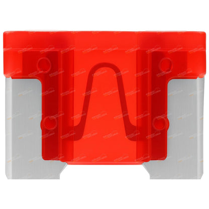 Pack of 100 Mini Blade Fuses for Automotive (10A, Low Profile)