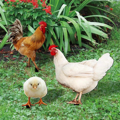 Acrylic Chicken Stake for Garden Decoration Installation