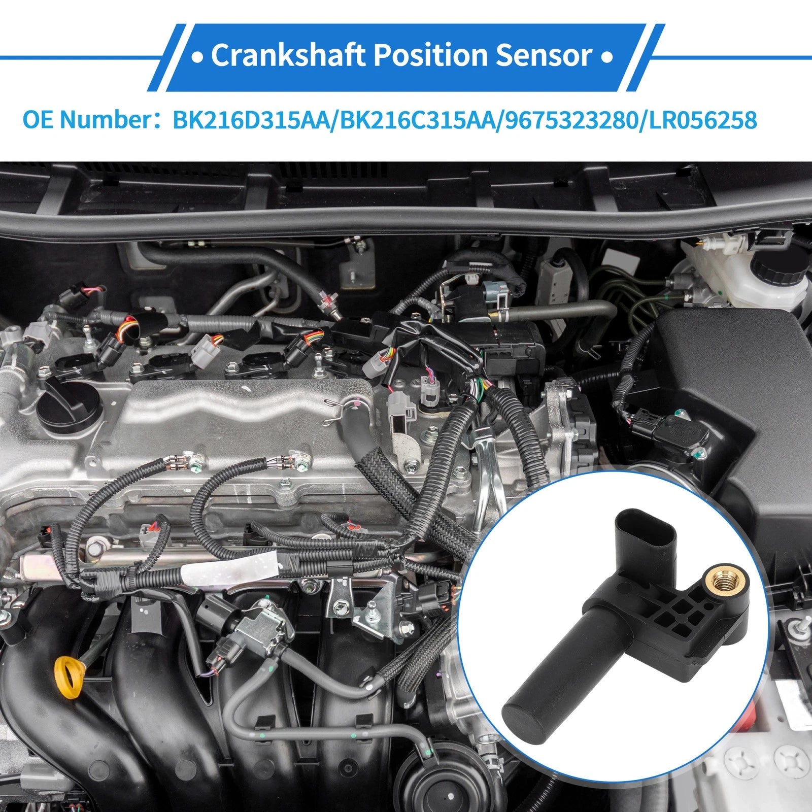 Crankshaft Position Sensor for Ford Transit Mk7 2.2 (2013–2018)