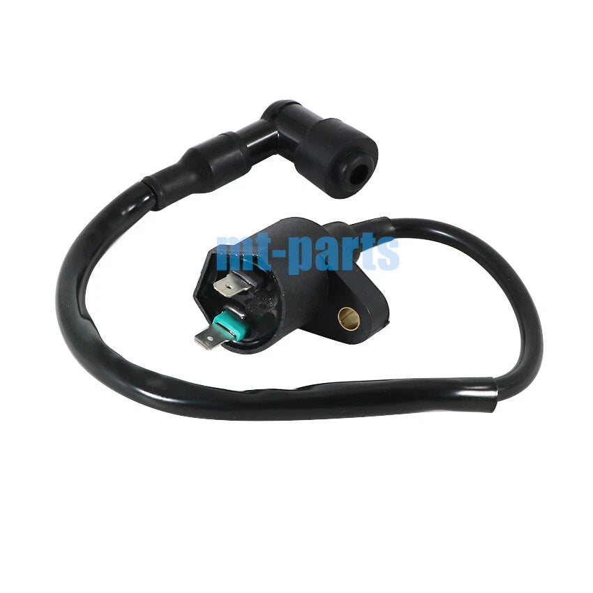 Ignition Coil for Sky Team ST 125-1, PBR/125-6, Skymax, T-Rex (2007–2016)