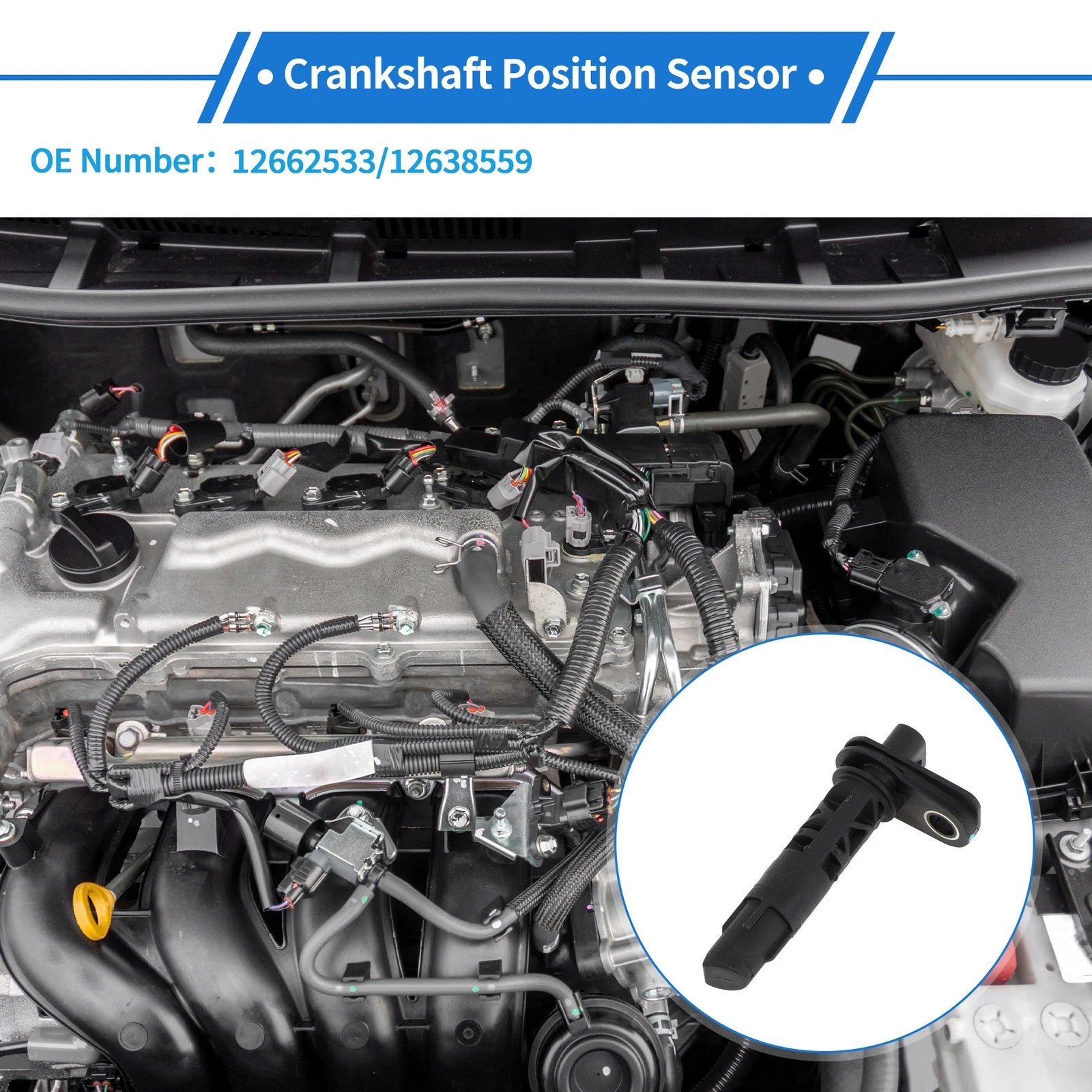Crankshaft Position Sensor Replacement for Chevy Cruze 1.4 (2017–2019)