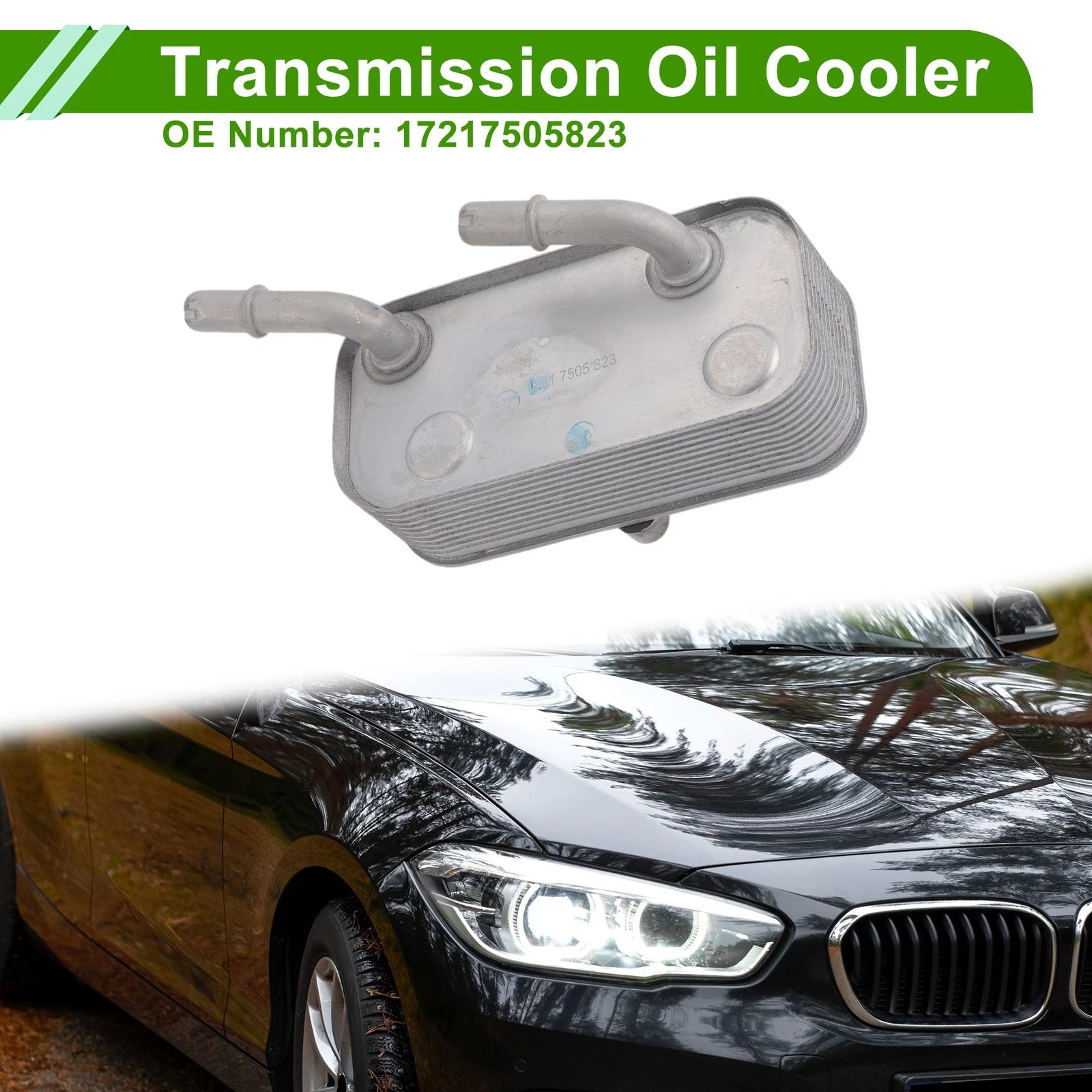 Engine Oil Cooler for BMW 540i OEM Replacement (2004–2010)