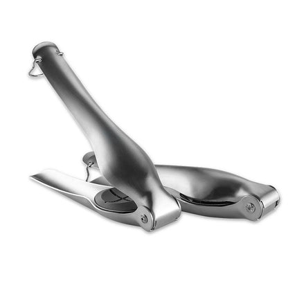 Chestnut Opener Tool 8.5cm Long Stainless Steel