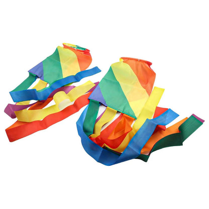 39 Inch Rainbow Windsock Flag for Outdoor Events