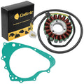 Stator and Gasket Replacement for Suzuki GS500 GS500F (2001–2009)