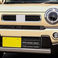 Lower Front Bumper Mesh for Suzuki Hustler (2020) - Matte Black ABS