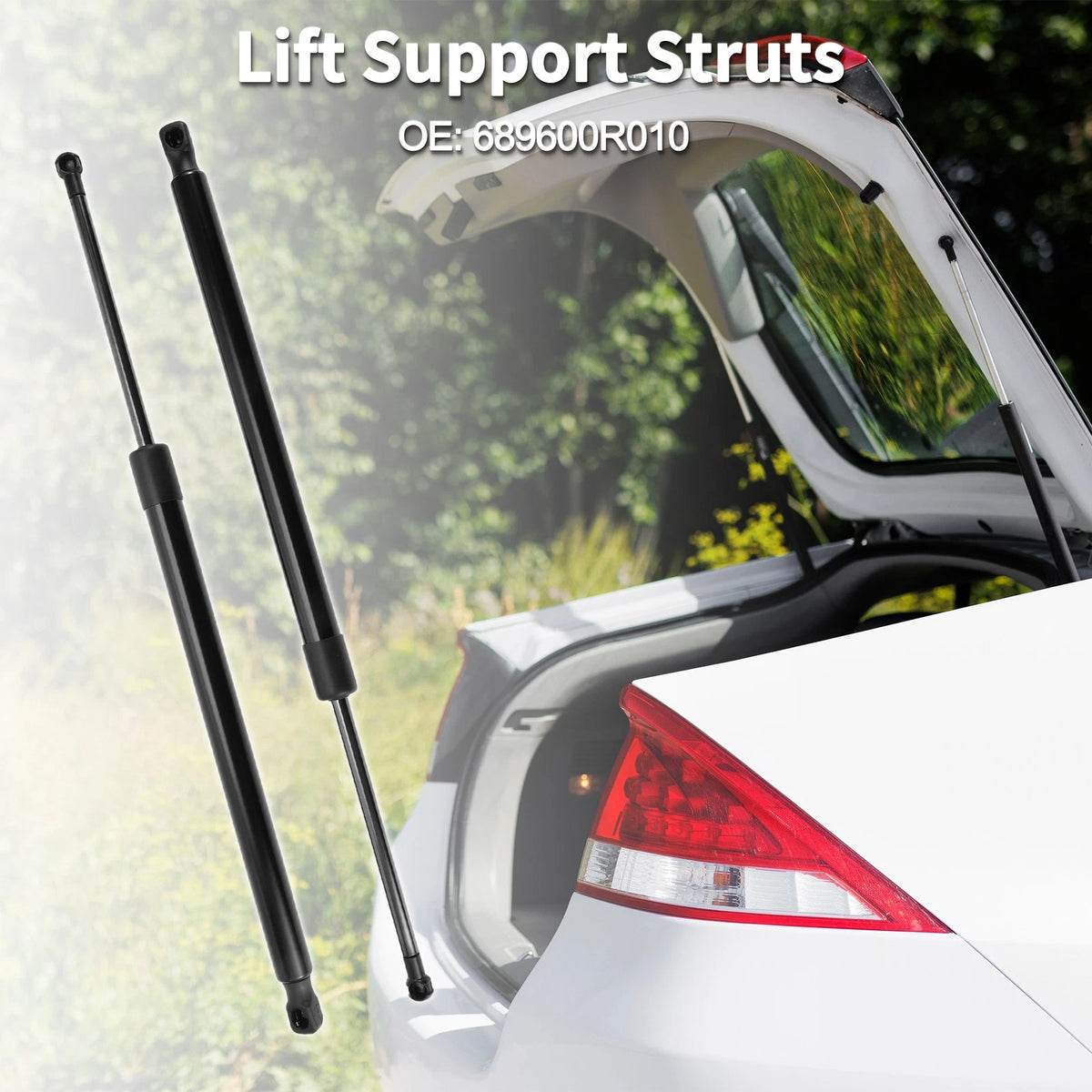 Rear Hatch Lift Supports Struts for Toyota RAV4 Base Sport Utility (2019–2024)