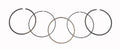 WSM Piston Rings for Honda TRX 400 FW (2004–2007) 1.5 mm Over - 51-230-09