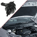 Engine Motor Mount Replacement for BMW MINI 2004-2007 1.6L CVT