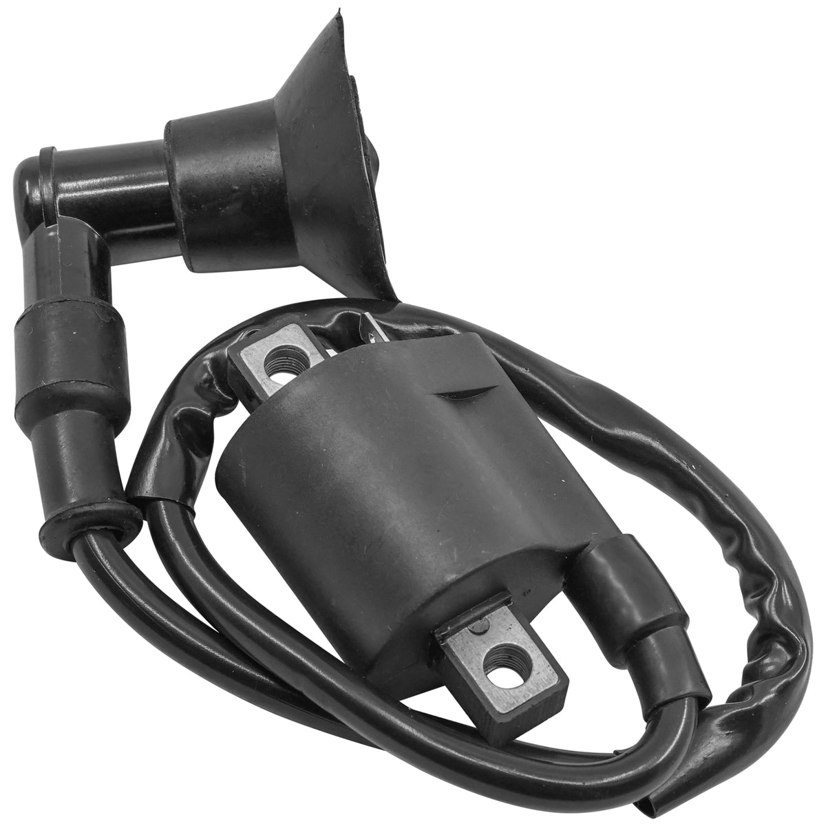 Ignition Coil Replacement for Bombardier Can Am (2007–2018)