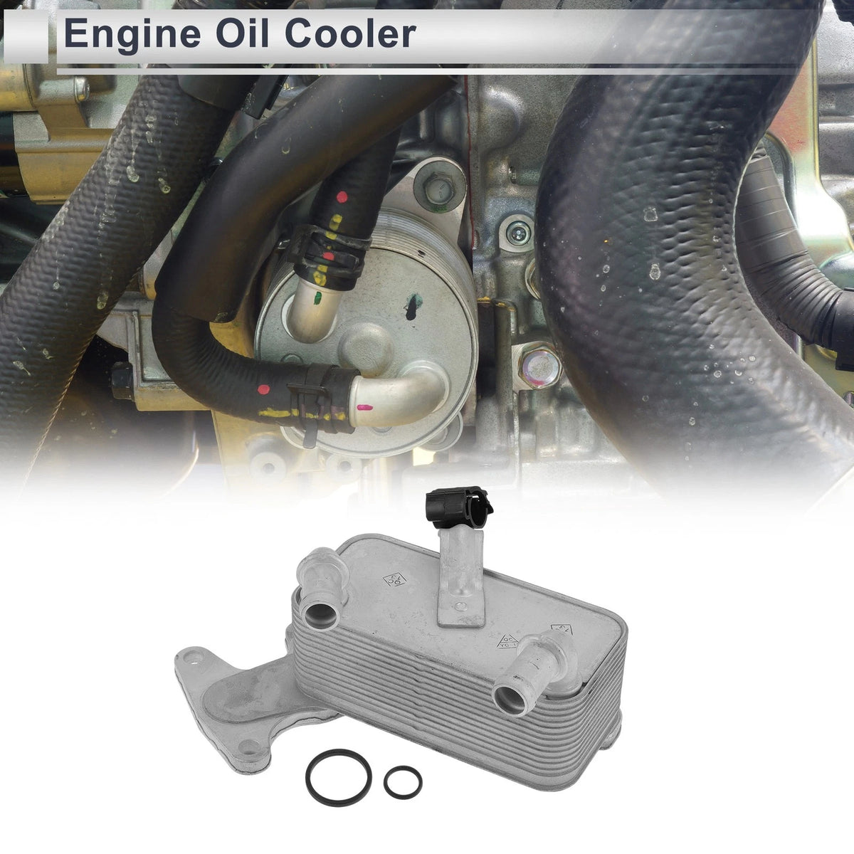 Engine Oil Cooler Assembly with Seals for Volkswagen DSG Transmission (2010–2023)