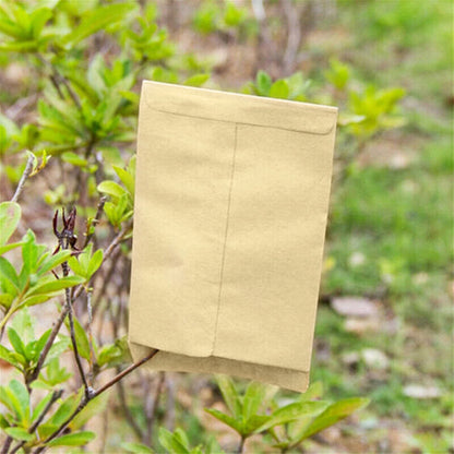 Set of 50 Kraft Paper Seed Packets Mini Envelopes 6x11cm