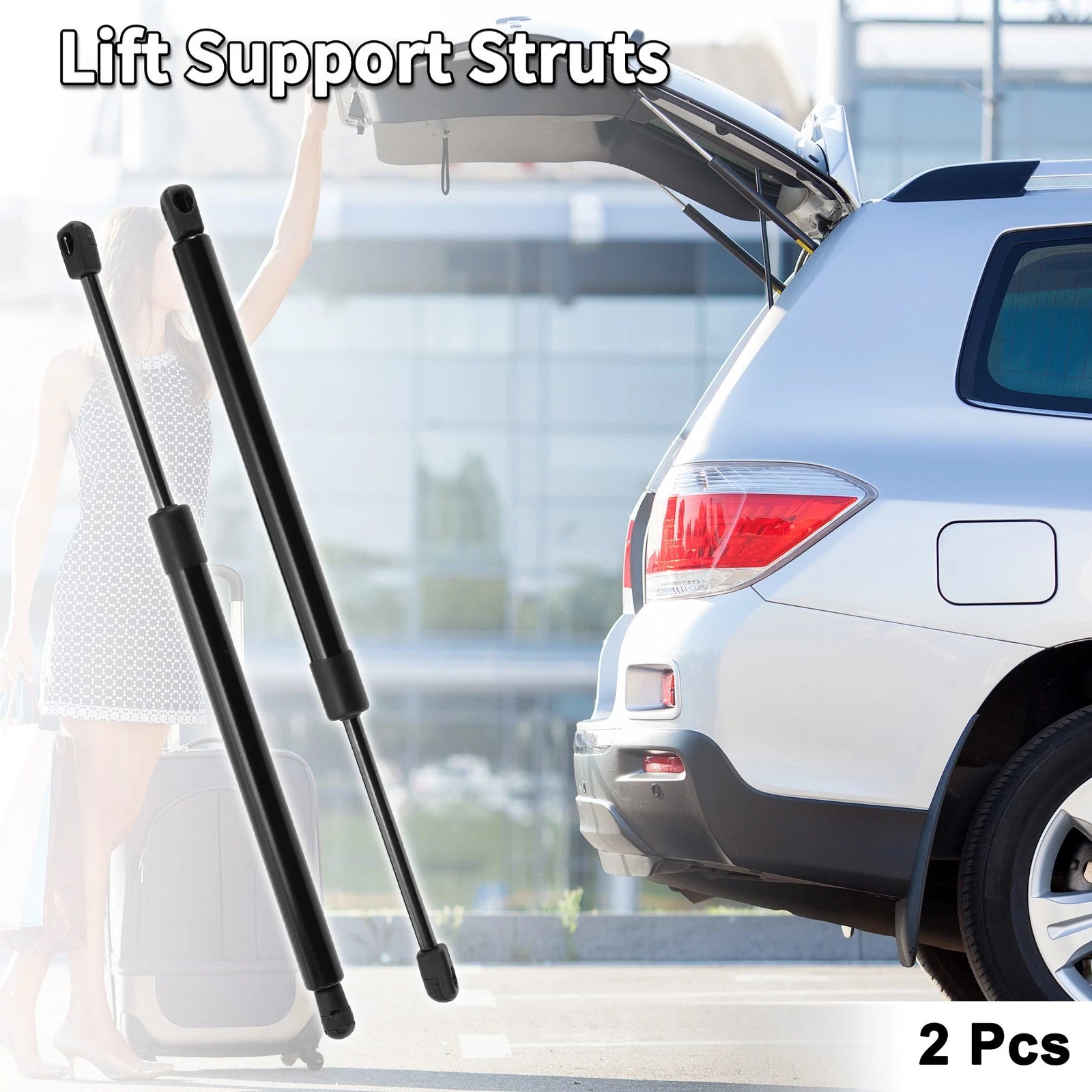 Rear Gate Lift Supports Struts for Dodge Magnum (2005–2010)